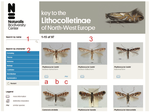 A Linnaeus NG interactive key to the Lithocolletinae of North-West Europe aimed at accelerating the accumulation of reliable biodiversity data (Lepidoptera, Gracillariidae)