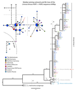 Patterns in Nuclear and Mitochondrial DNA Reveal Historical and Recent Isolation in the Black-Tailed Godwit (Limosa limosa)