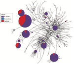 Tracking the origins of fly invasions; using mitochondrial haplotype diversity to identify potential source populations in two genetically intertwined fruit fly species (Bactrocera carambolae and Bactrocera dorsalis [Diptera: Tephritidae])