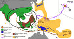 Transpacific coalescent pathways of coconut rhinoceros beetle biotypes: Resistance to biological control catalyses resurgence of an old pest