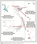 Descriptions of four new species of Bactrocera and new country records highlight the high biodiversity of fruit flies in Vietnam (Diptera, Tephritidae, Dacinae)