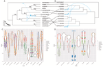 Interspecific gene flow obscures phylogenetic relationships in an important insect pest species complex