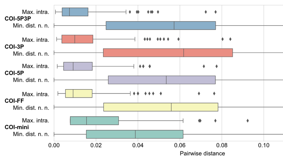 Towards a better future for DNA barcoding: Evaluating monophyly‐ and distance‐based species identification using COI gene fragments of Dacini fruit flies