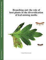 Branching out: the role of host plants in the diversification of leaf-mining moths